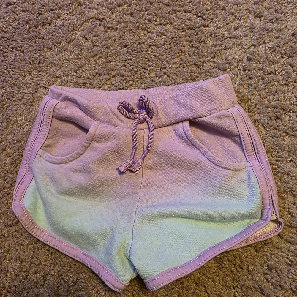 Garanimals Purple and Blue Kids Shorts